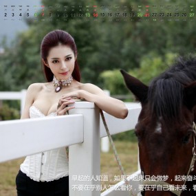 马年贺岁写真