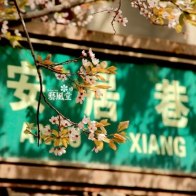 花语