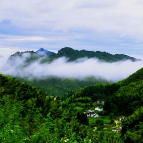 竹海人家