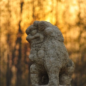 杜陵