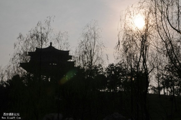 南湖凑热闹