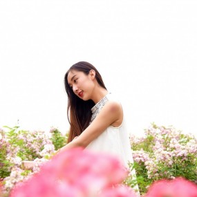 赏花