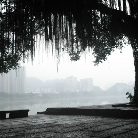 闽江边的漫步