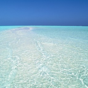 大海海滨