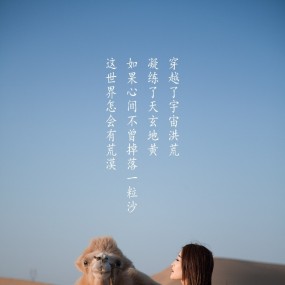 胡杨旅记