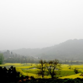 江南水乡