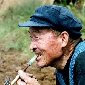 一组人像