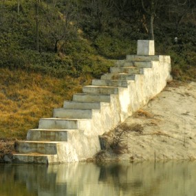 冬