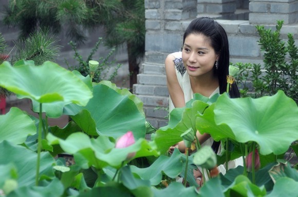 荷中倩影