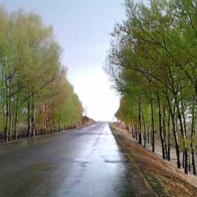 春天绿叶细雨
