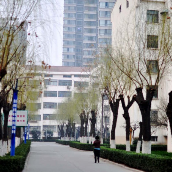 探寻春的脚步