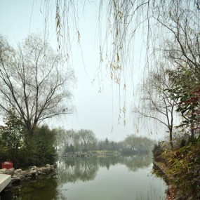 闲冬