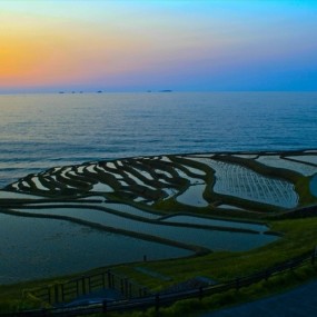 夕阳下的梯田