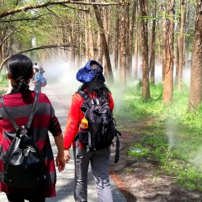 水上森林公园（2017）