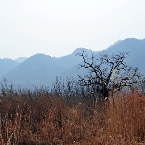 远山