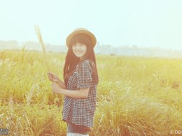 淡淡香草