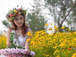 黄花姑娘