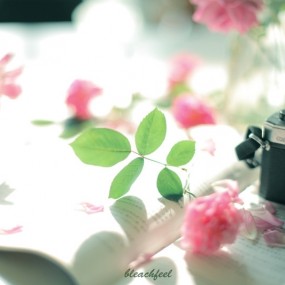 花的模样