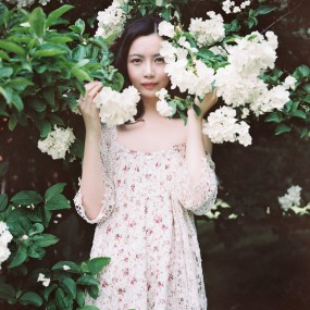 花弱花开无声