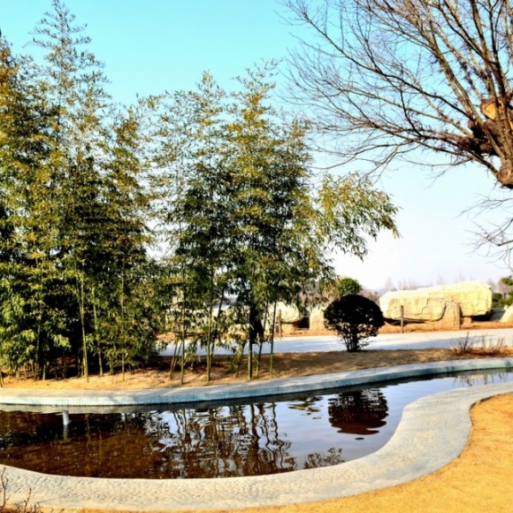 唐苑风景