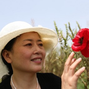 相会虞美人