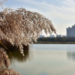 深秋