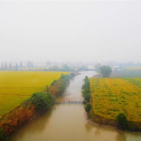 车拍江南水乡