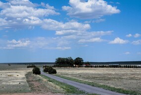 典型的美国乡村
