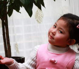 家女昕宝