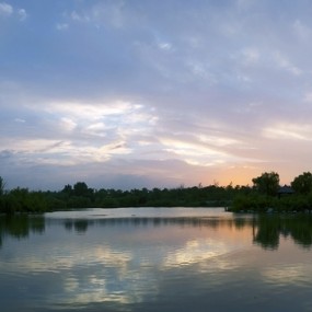 湿地 雨后晚霞