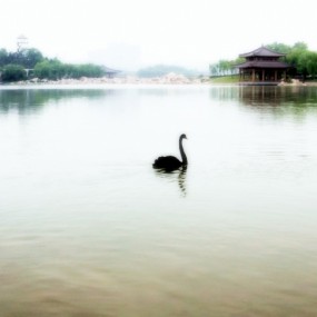 春望南湖