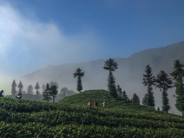 茶山晨曦