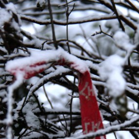 风雪中的安全