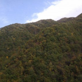 大山里的婚礼