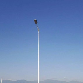 心杆