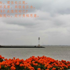 江边行
