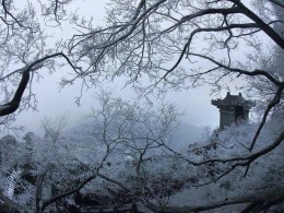 馬跡車塵忙未了，任西風、吹冷長安月。又蕭寺，花如雪。