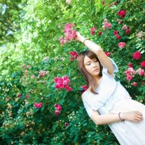 蔷薇少女
