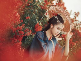 秋花诉