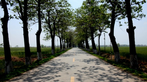 乡间公路