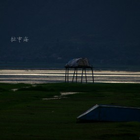 拉市海的风景