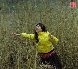 花映絮飞