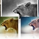 DxO Film Pack 3.2 发布
