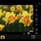 松下发布LUMIX Remote专用相机控制App